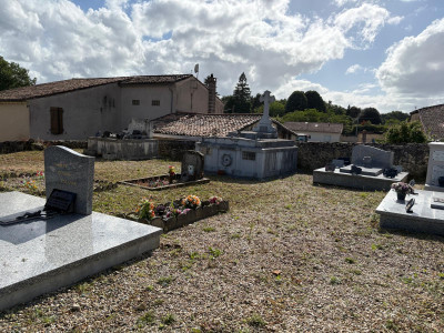 Entretien de nos espaces verts – photo 3