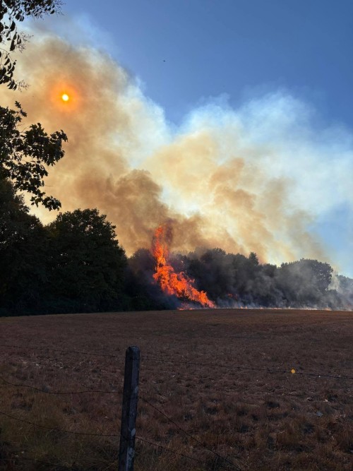 Incendie sur la commune – photo 4