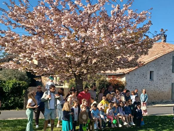 Chasse aux œufs de Pâques : photo de couverture