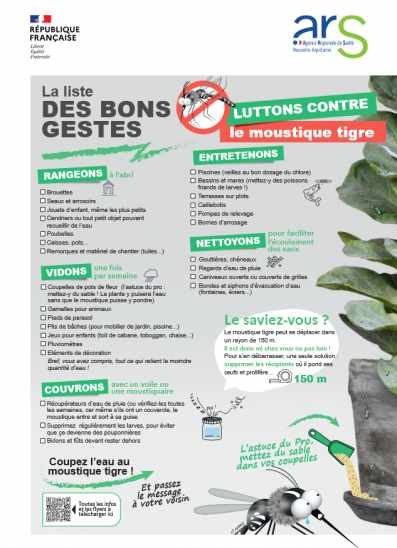 Retour du moustique tigre - rappel des bons gestes à adopter.